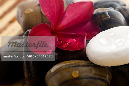 Aromatherapy and spa massage on tropical bamboo and polished stones.