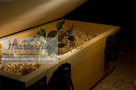 View of nice fresh rose delivered in cuttings filled wooden box