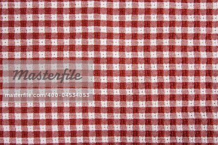 Red and White Checkered Picnic Blanket Detail