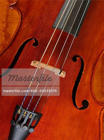 great image of a cello or violin