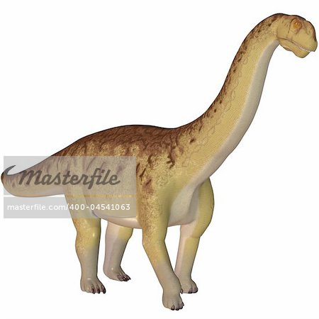 3D Render of an Camarasaurus-3D Dinosaur