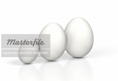 white egg isolated on white background