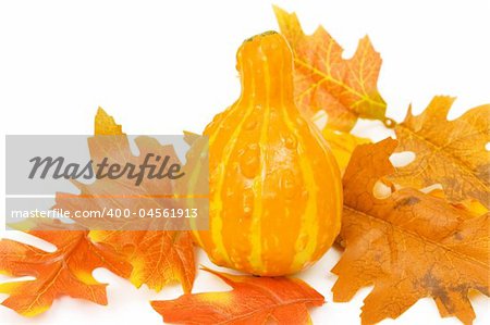 pumpkin with leaves isolated against white background