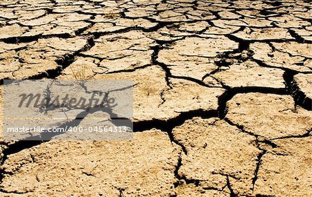 Cracked River Bed in South Australia