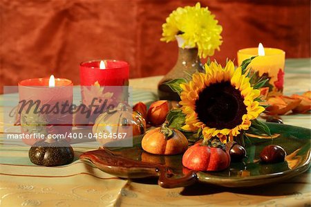 Still life or table decoration for Thanksgiving