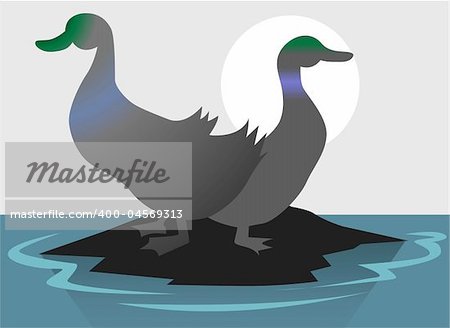 Illustration of two wild ducks in a rock