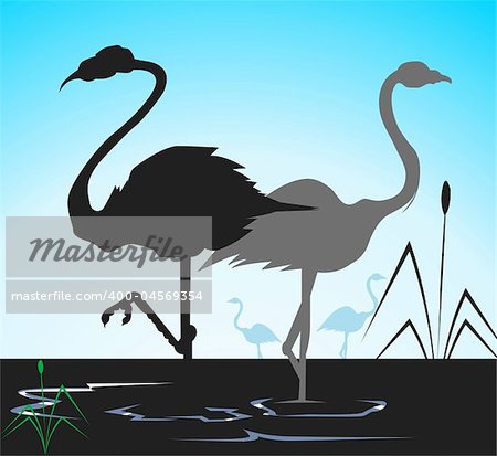 Illustration of two cranes in water