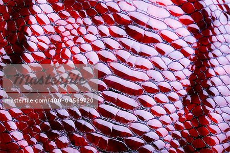 Snakeskin texture - leather background