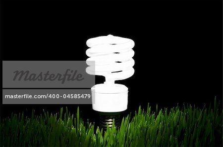 Image of an energy efficient light bulb amidst green grass with black background