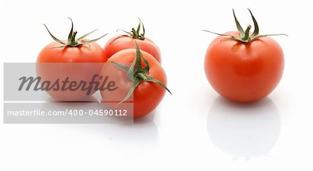 a group of tomatos isolated on white background
