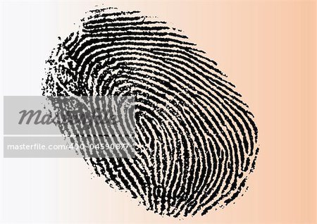 Black and White Vector Fingerprint - Very accurately scanned and traced ( Vector is transparent so it can be overlaid on other images, vectors etc.)