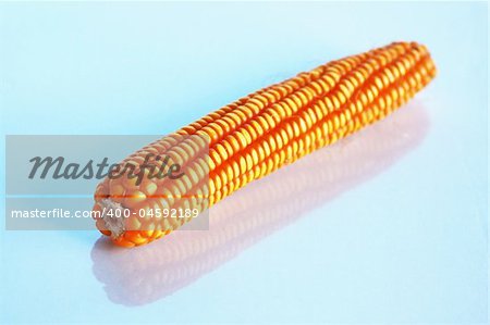 Shine corn