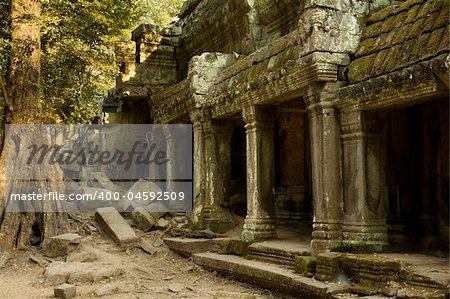 The ancient ruins of Ta Prohm at the Angkor Wat site in Cambodia