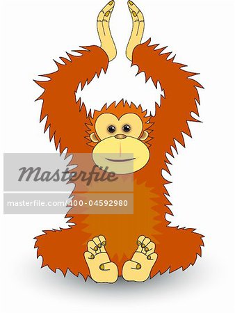 Orangutan illustration