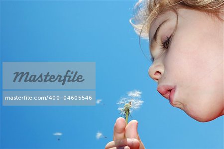 child blowing away dandelion seeds in the blue sky