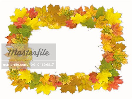 Colorful autumn framework made from maple leaves, isolated on white background
