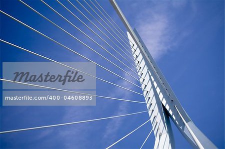 details of the Erasmus Bridge - the symbol of Rotterdam. Horizontal shot
