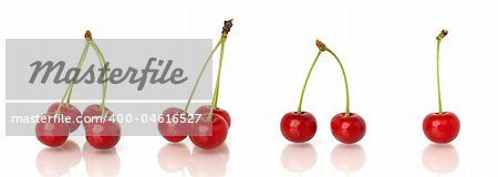 Sour cherries before white background with reflection.