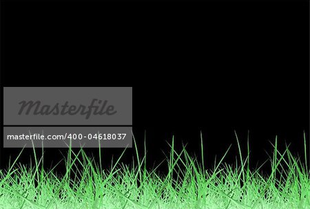 Green meadow grass over black background with copy space