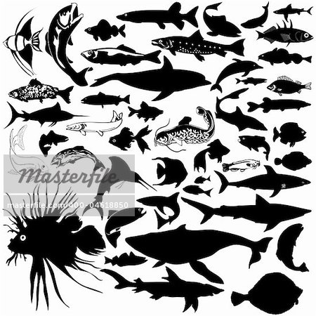 46 pieces of detailed vectoral fish and sea animal silhouettes.