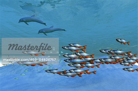 Schools of fish swim in the blue ocean.