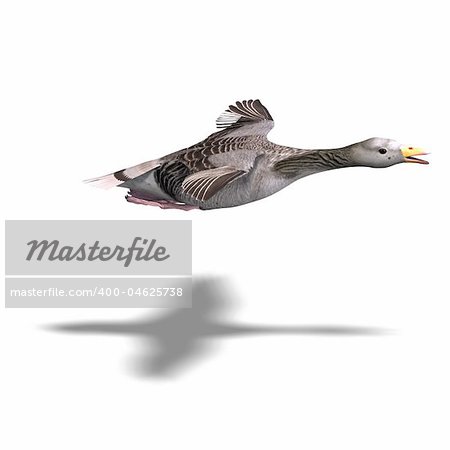 grey goose in flight. 3D rendering with clipping path and shadow over white