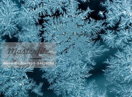 Nature background with ice-flowers.