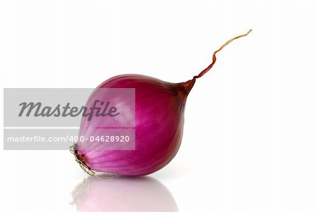 Purple onion before white background.