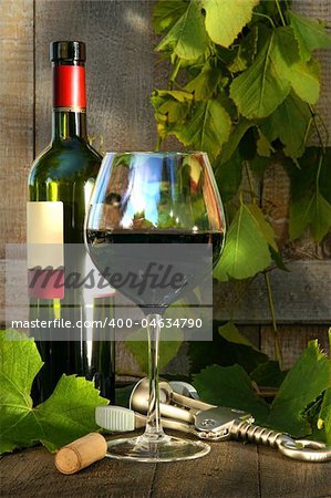 Still life with red wine bottle and glass and grapevine leaves