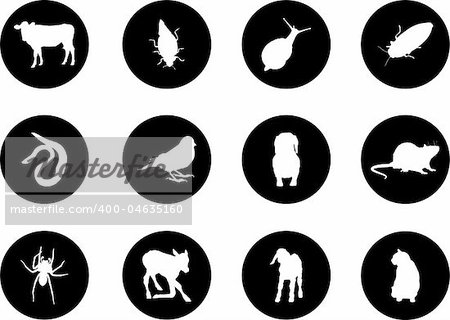 Animals. Set of 12 round vector buttons for web