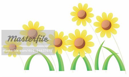 yellow flower with green leaves ina white background