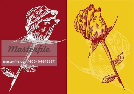 Set of 2 blossomed roses with a red and yellow background.