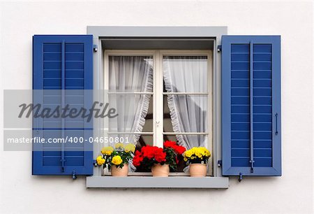 windows with flowers in hanging flower pots