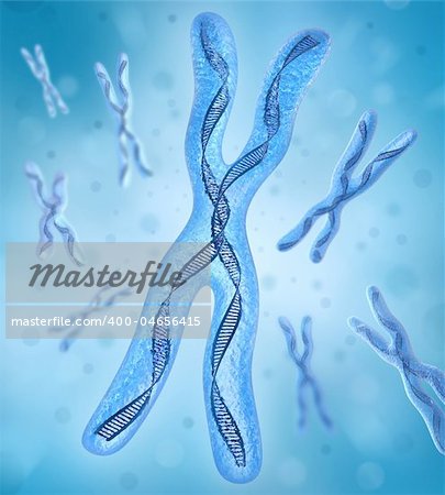 Chromosome x, DNA Strands 3D image
