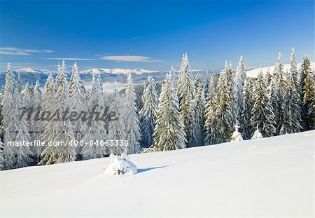 winter calm mountain landscape with rime and snow covered spruce trees  (view from Bukovel ski resort (Ukraine) to Svydovets ridge)