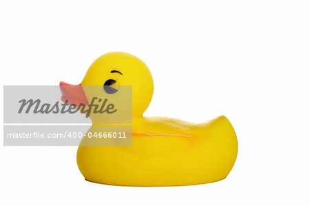 yellow rubber duck isolated on white