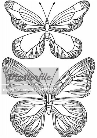 delicate hand drawn butterflies, vector