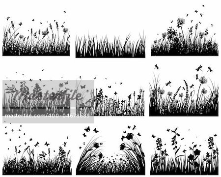 Vector grass silhouettes backgrounds set. All objects are separated.