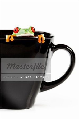 Red eyed tree frog sitting on cup