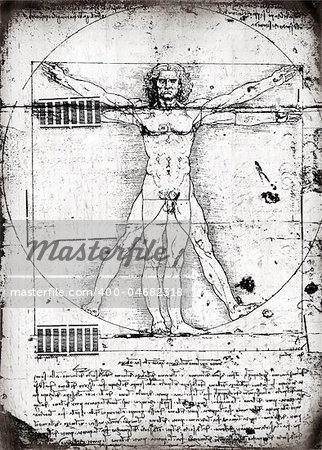 Photo of the Vitruvian Man by Leonardo Da Vinci from 1492 on textured background.