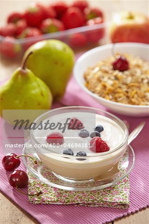 yogurt with fresh berries