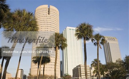 Palms and skyscrapers in Florida