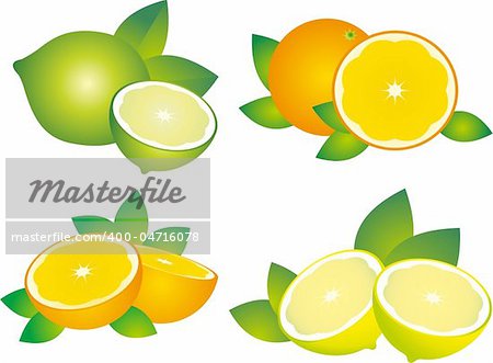 Set of fruit vectors. To see similar, please VISIT MY PORTFOLIO