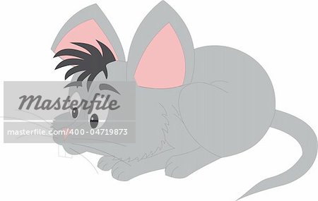 Mouse vector. To see similar, please VISIT MY PORTFOLIO