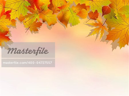 Autumn colorful backround. EPS 8 vector file included