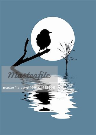 vector silhouette bird on branch