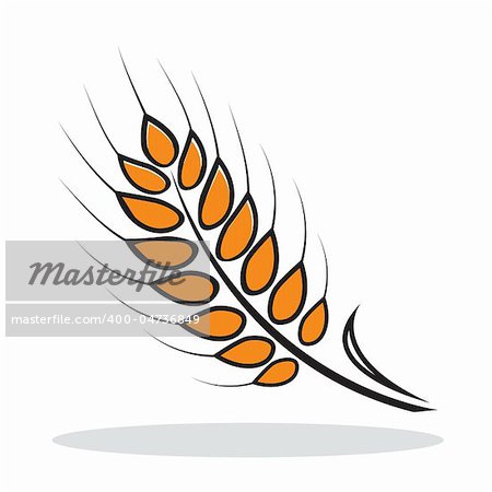 Orange abstract wheat with grey shadow. Autumnal icon. Vector illustration