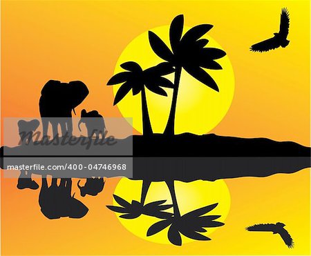 vector african landscape with elephants and reflection