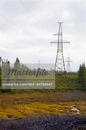 High-voltage lines passing through the north woods