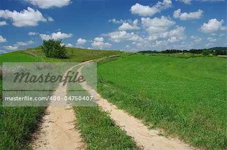 A grassy road gently curves through green farmland. Blue skies and white clouds adorn a summer day in southern Wisconsin.